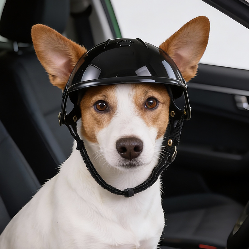 Casque pour animaux de compagn - Motorcycle Gear Helmets avis et prix